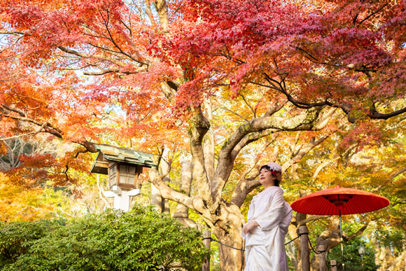 美しい紅葉が魅力的な、秋の箱根フォトウェディングキャンペーン